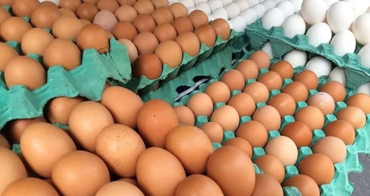 Quaresma impulsiona o preço do ovo em 18,8% em SP, diz Cepea