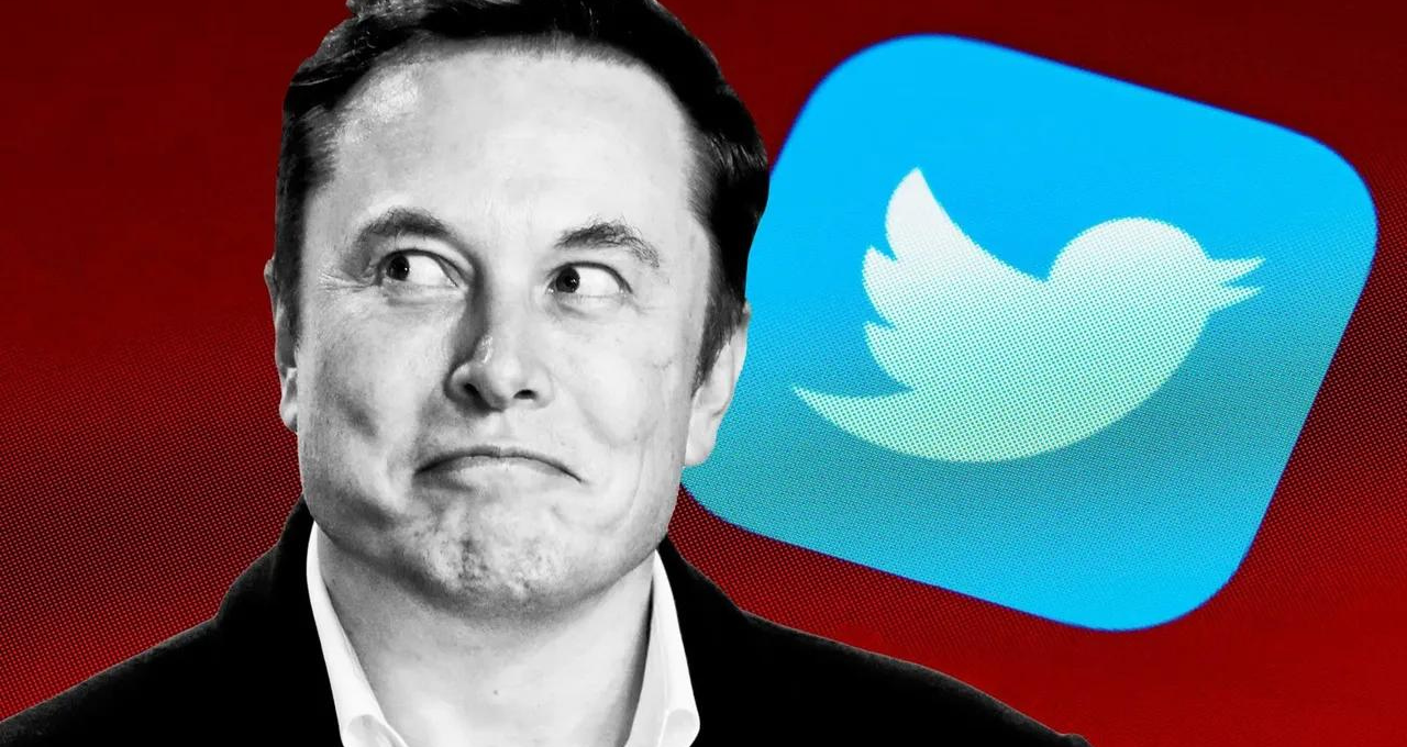 Ganhar criptomoedas criando conteúdo no Twitter pode ser realidade; Elon Musk ataca novamente