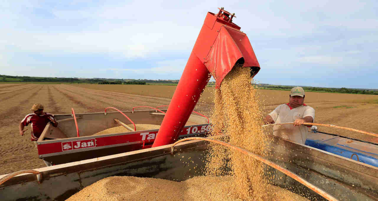 Bolsa de Rosário faz novo corte em projeções de soja e milho da Argentina