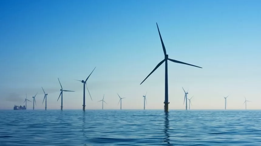 Jabutis na lei das eólicas offshore sopram um “vento” de R$ 40 bi na conta de luz