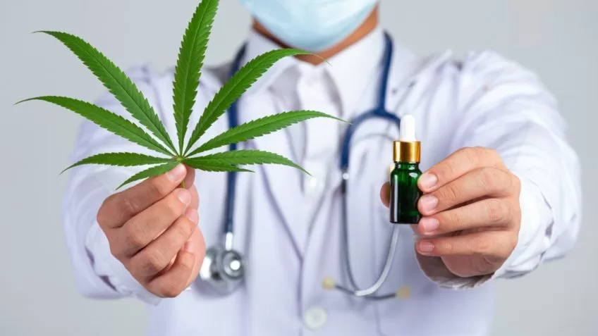 Uso medicinal da cannabis depende de regulamentação da produção