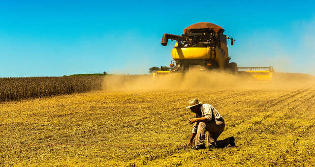 O que deve mexer com os preços do milho, trigo e soja na CBOT em 2024?