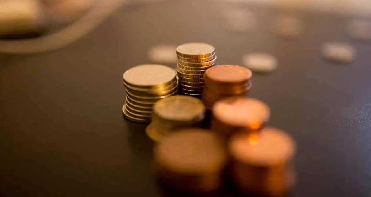 5 ações para investir em fevereiro e buscar dividendos, segundo MyCap