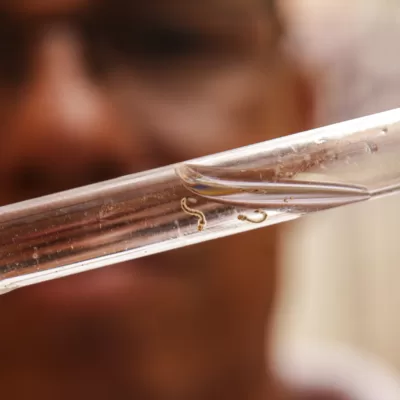 Brasil passa dos 1.8 milhões de casos de dengue