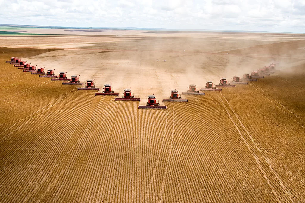 Colheita de grãos deverá cair 8% nesta safra 2023/24, diz Conab