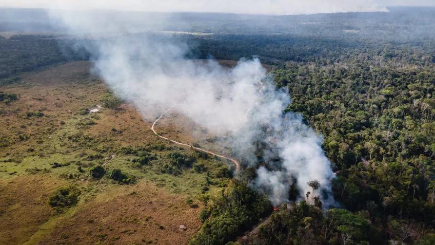 Roraima concentra 40% dos focos de incêndio do Brasil em 2024