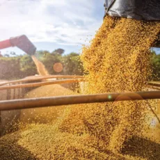 PIB do agro de SP cresce 11,4% no 1º bimestre de 2024, diz Seade