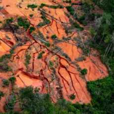 Garimpo na Amazônia ocupa área duas vezes maior que Belém, diz estudo