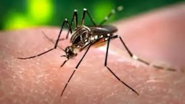 Brasil ultrapassa 4 milhões de casos prováveis de dengue