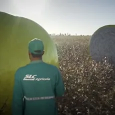 SLC Agrícola (SLCE3) pagará R$ 365 milhões em dividendos
