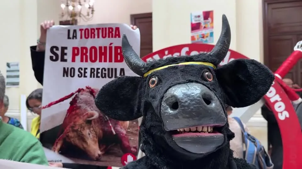 Congresso da Colômbia aprova proibição de touradas após sete anos de tentativas