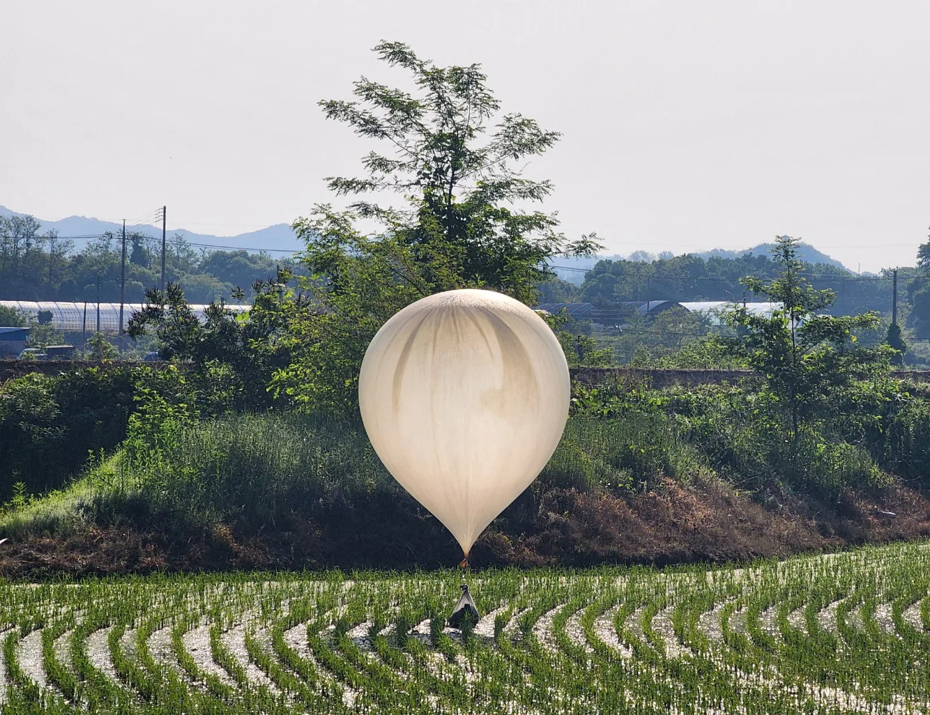 Coreia do Norte envia balões com excrementos pela fronteira, acusa Coreia do Sul