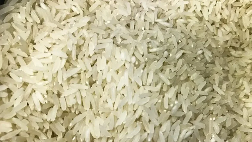 Conab suspende leilão para compra de 104 mil toneladas de arroz