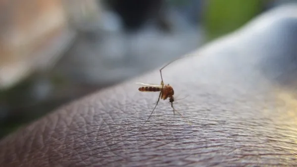 Brasil registra mais 38.909 casos prováveis dengue