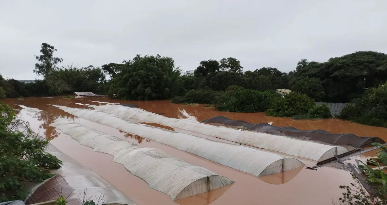 Rio Grande do Sul: 72 famílias perdem casas e toda produção agrícola; ‘estimamos prejuízos de R$ 1,5 mi’