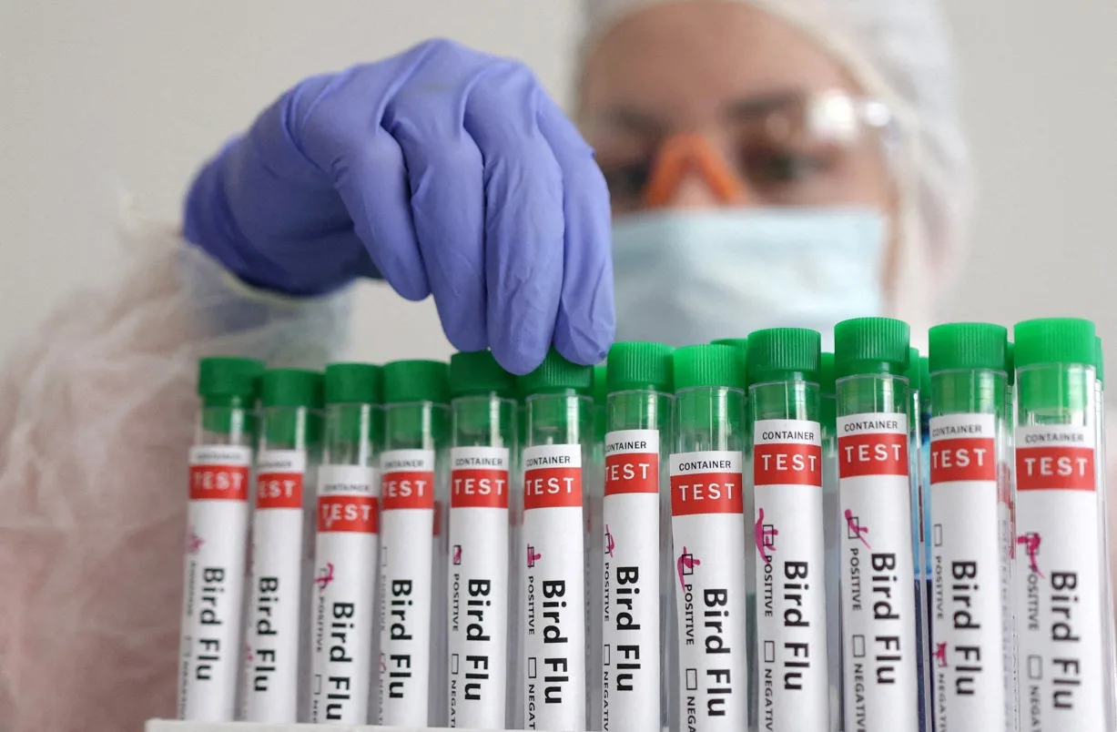 OMS confirma primeiro caso humano fatal de gripe aviária A(H5N2)