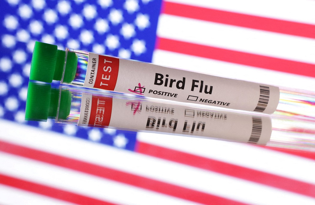 Maior disseminação de gripe aviária nos EUA pode aumentar risco de infecção humana