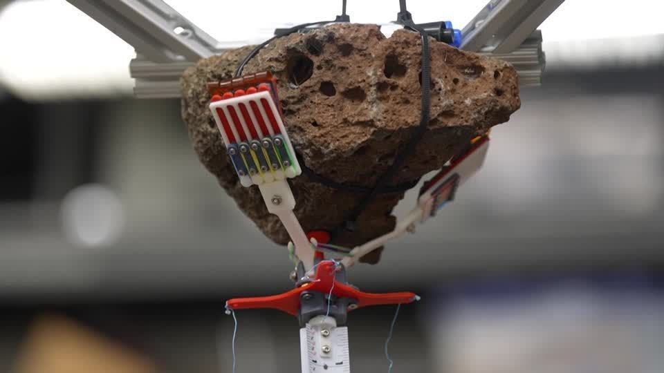 Pesquisadores desenvolvem robô “inseto” para explorar cavernas lunares