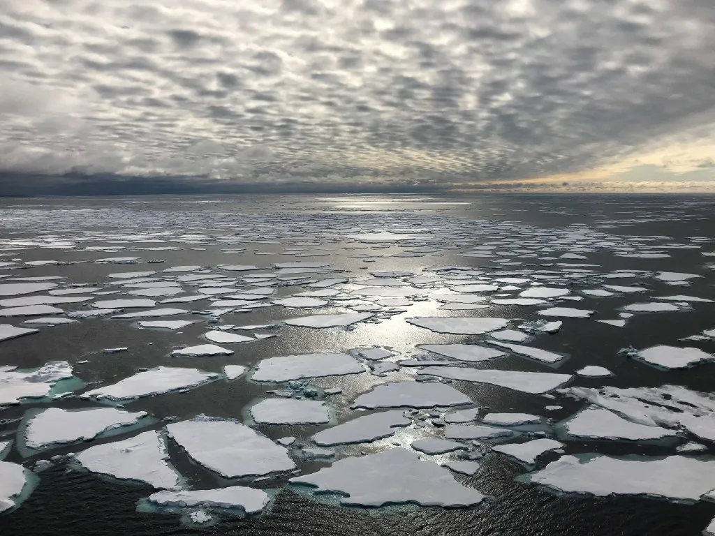 Vírus gigantes são encontrados pela primeira vez no gelo da Groenlândia, diz pesquisa