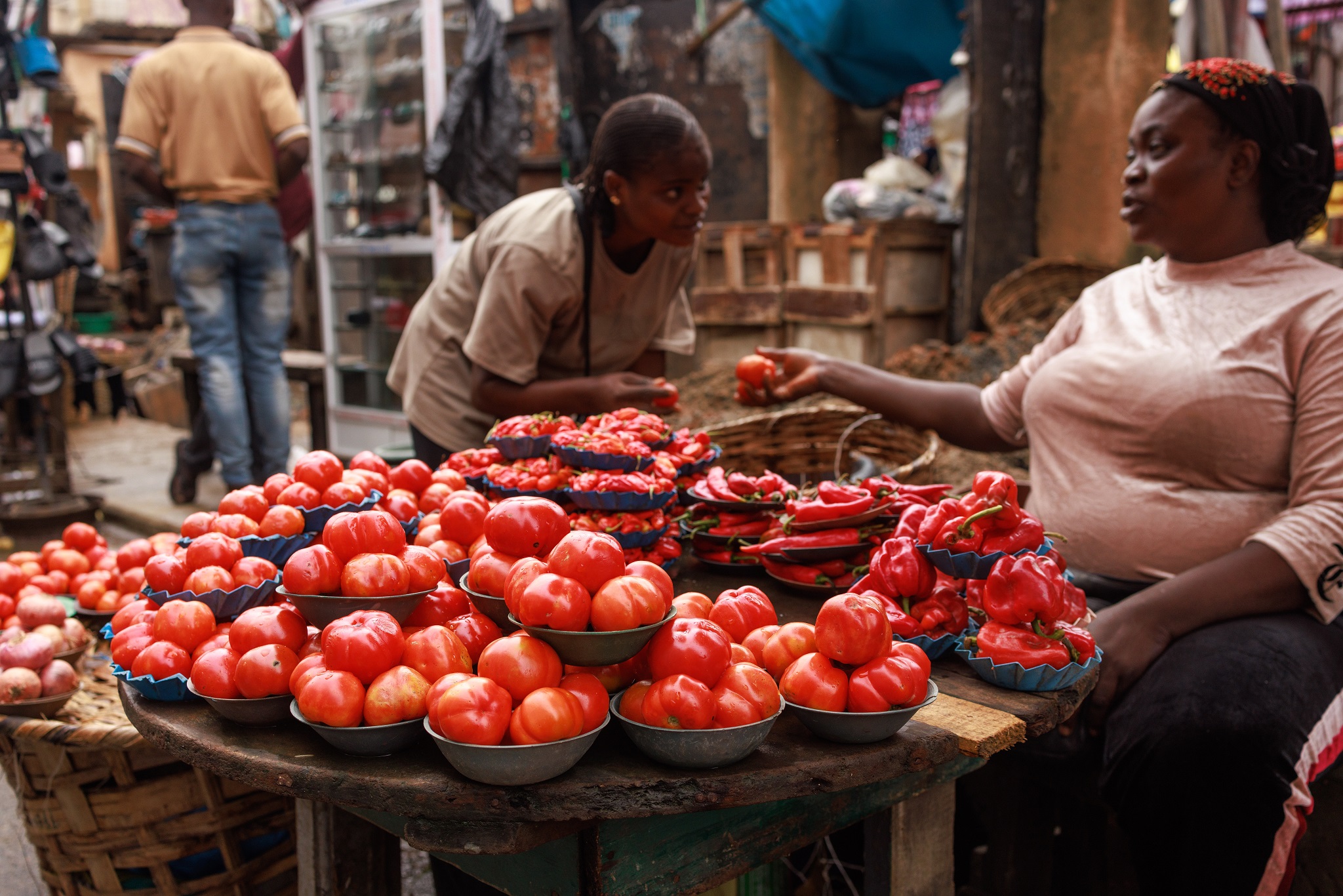 Como “Ebola do tomate” virou preocupação para economia da Nigéria