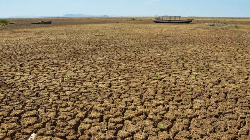 Brasil perdeu 55% da região do agreste e está se tornando sertão