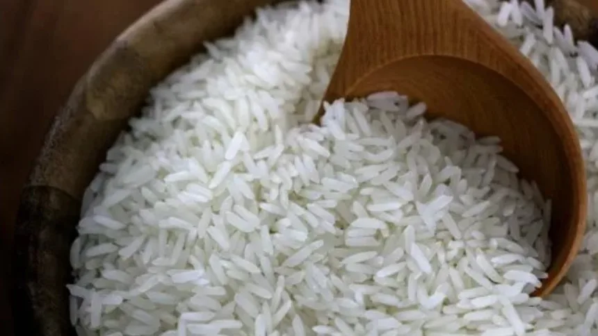 O que já se sabe sobre o leilão de arroz da Conab (e será investigado)