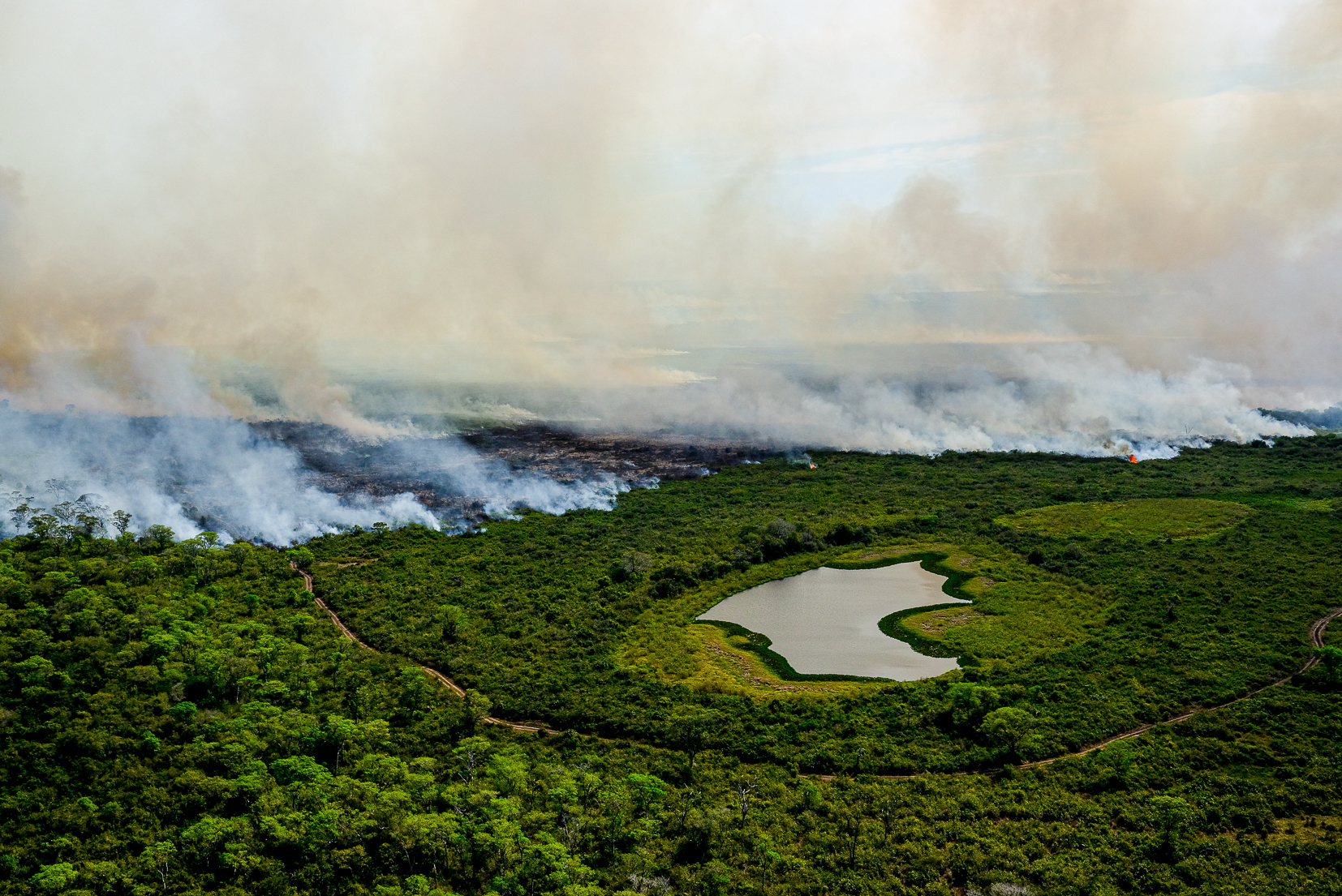 Pantanal tem junho com mais focos de incêndio da história