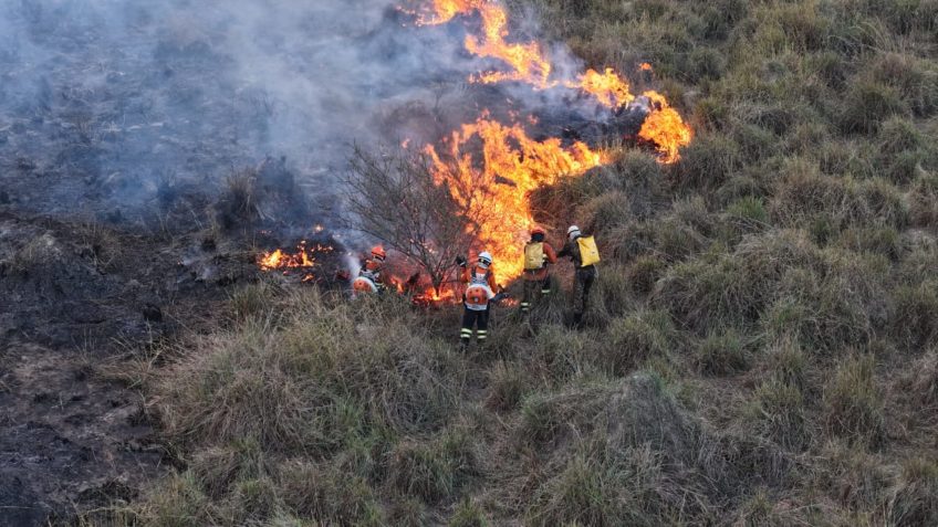 Pantanal registra 1º semestre com maior número de focos de incêndio