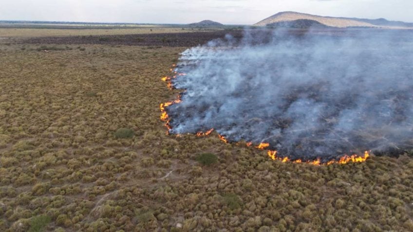 Veja imagens dos incêndios no Pantanal