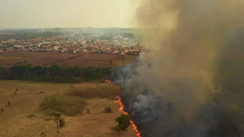 Pantanal registra aumento de 898% em focos de queimadas