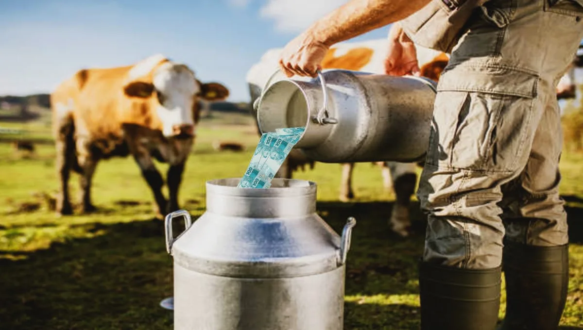 5 ações ‘vacas leiteiras’ para investir em junho e buscar até 7,2% em dividendos