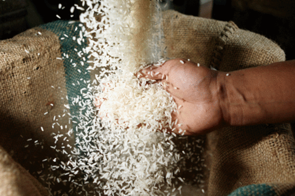 Governo compra 263 mil toneladas de arroz importado em leilão público