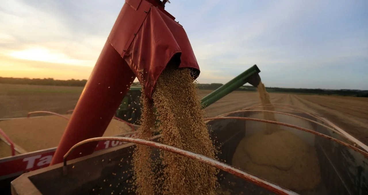 Futuros de milho e soja sobem em Chicago com nova regra tributária no Brasil; produtores dos EUA comemoram