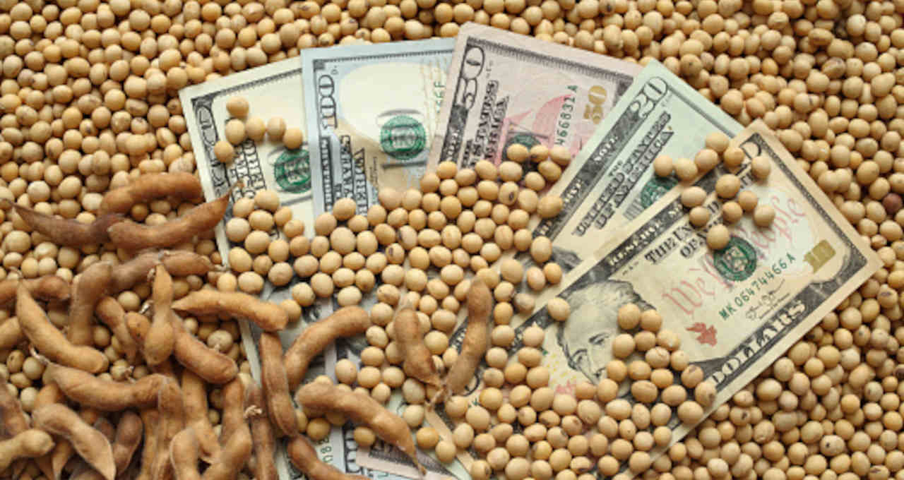 Dólar acima de R$ 5,40: Agentes da cadeia do milho e soja que ganham com rali da moeda; e as ações?
