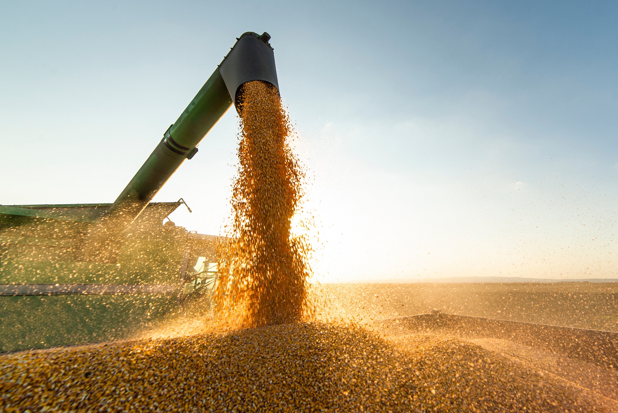 Mercado prevê queda na safra brasileira de soja; veja como as ações de grãos reagem