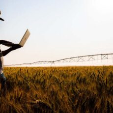 Kilimo levanta US$ 7,5 milhões e quer trazer “créditos de água” para o agro brasileiro